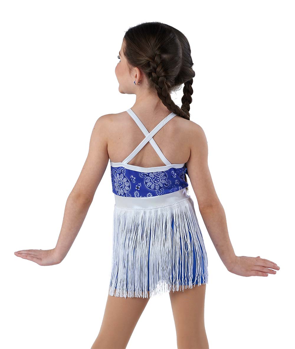 V2728 Rock This Country